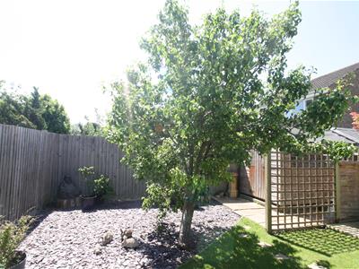 Picture 17